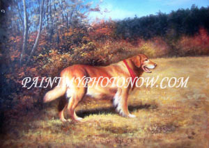 Pet Paintings from Photos